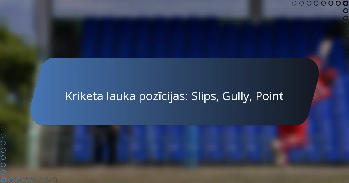 Kriketa lauka pozīcijas: Slips, Gully, Point